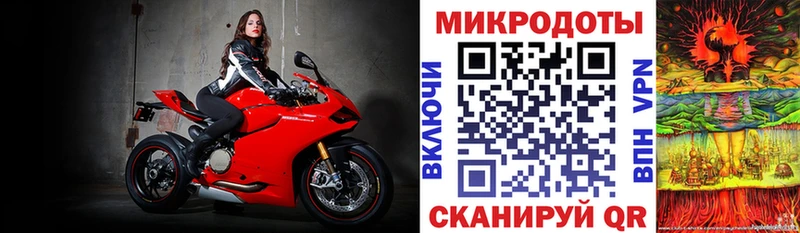 цена   Мариинск  Галлюциногенные грибы Psilocybine cubensis 